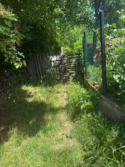 Teren de vânzare – Podul Cheii, județul Prahova – Zonă deosebită, în mijlocul na - 1