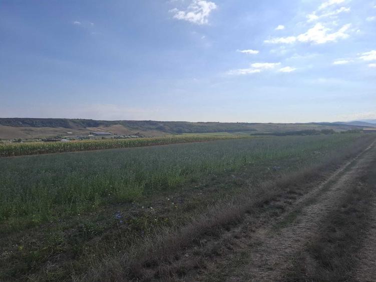 Teren de 400 mp, în Daia
