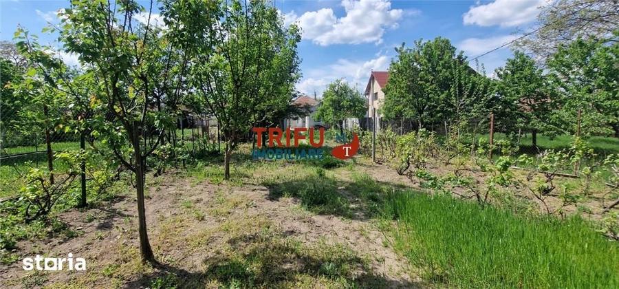 Casă cu 4 camere cu Teren 1380 Mp în Partoș