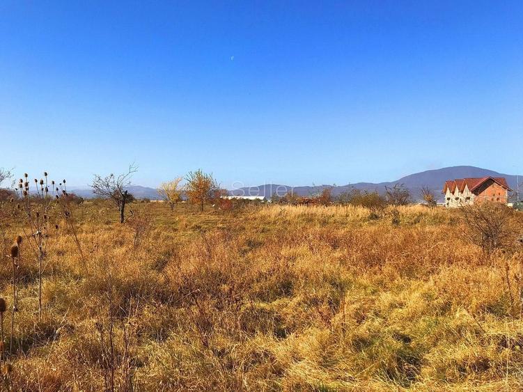 Teren Construcții intravilan de 6000 mp, în Ghimbav Livadă