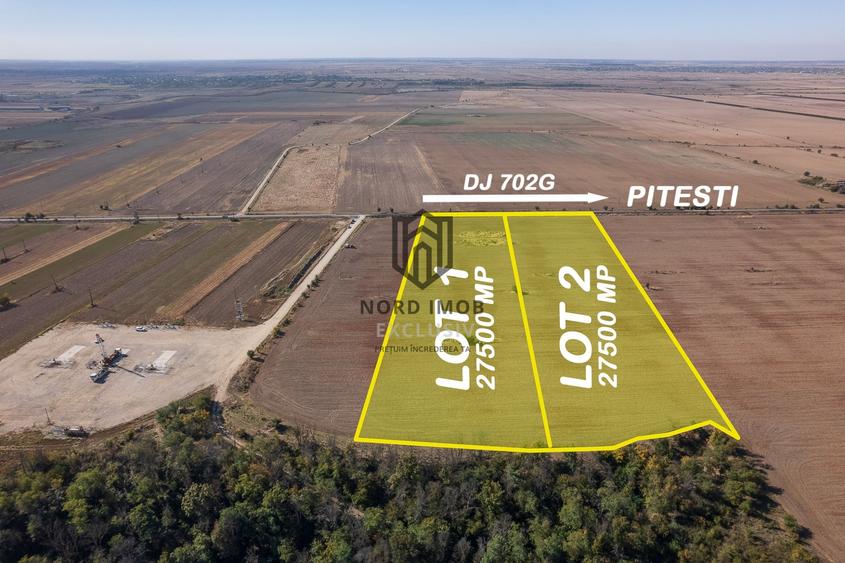 Teren agricol extravilan de 55000 mp, în Căteasca
