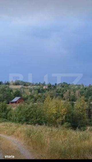 Teren de 4265 mp, în Căpușu Mare