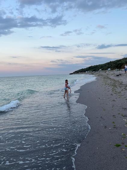 Teren în Sud