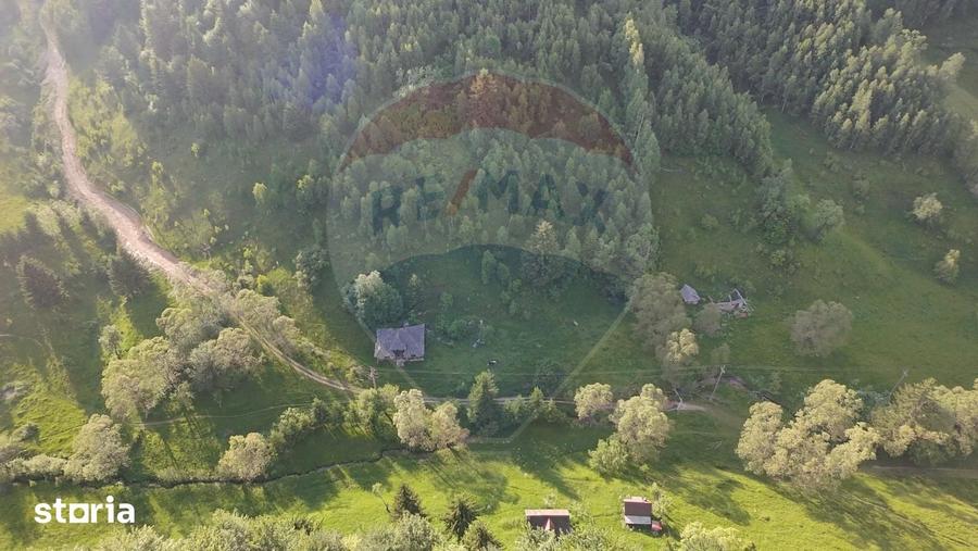 Teren de 38704 mp, în Mănești