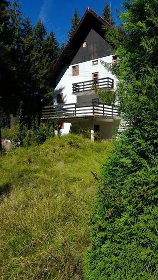 Casă cu 6 camere cu Teren 4950 Mp în Timișu de Sus