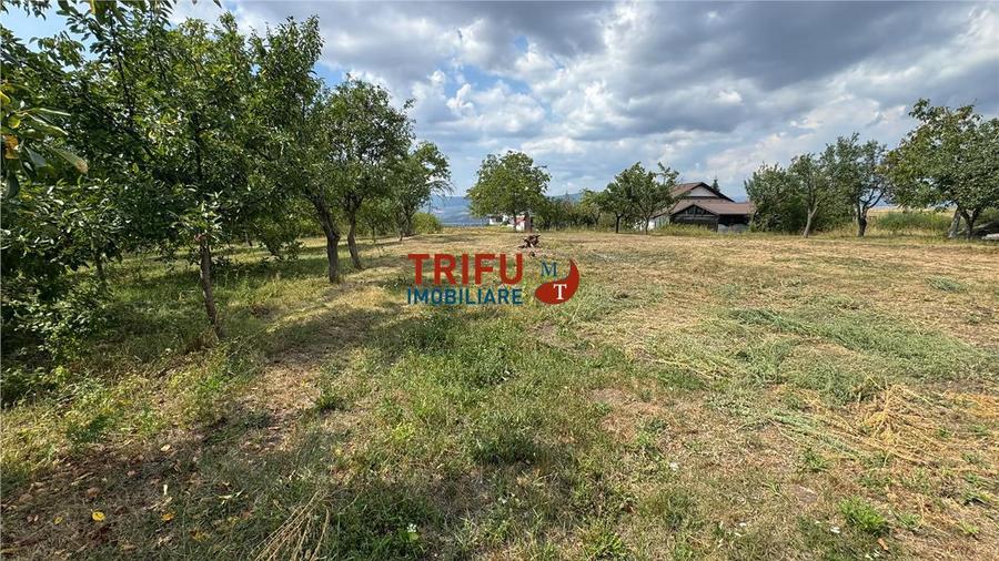 Teren Construcții intravilan de 10651 mp, în Ampoi 1