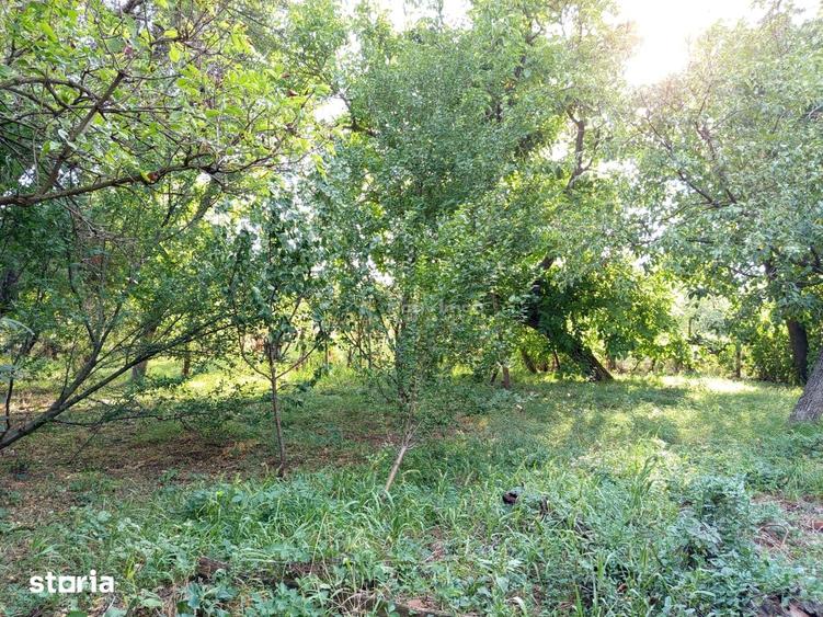 Casă cu 6 camere cu Teren 1151 Mp în Ciuchici