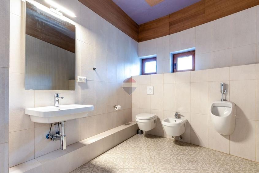 Casă individuală cu 8 camere cu Teren 760 Mp în Europa