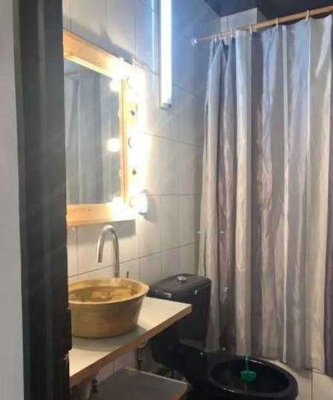 Apartament cu 3 camere decomandat în Basarabia