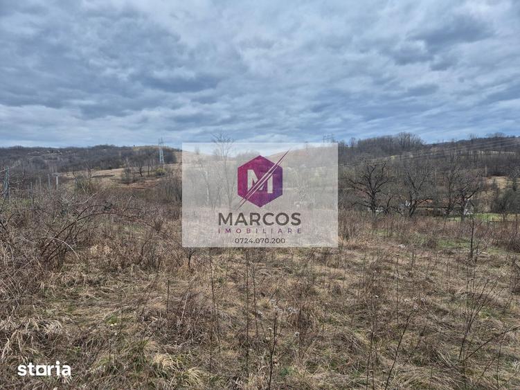 Teren de 11400 mp, în Carașova