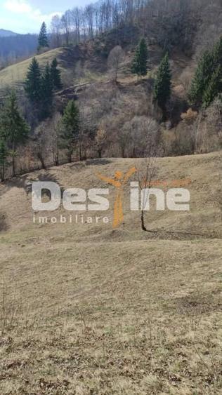 Teren agricol extravilan de 5000 mp, în Rucăr