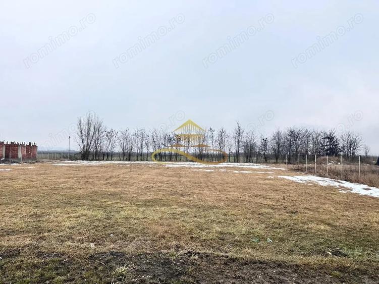 Teren de 900 mp, în Săucești