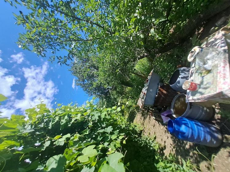Casă cu 3 camere cu Teren 1200 Mp în Valea Lupului