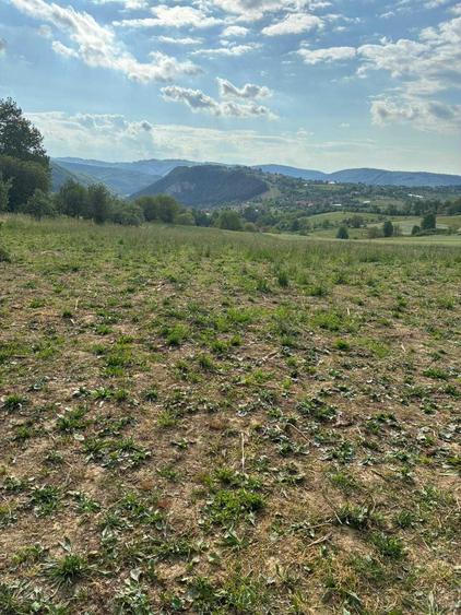 Teren de 4500 mp, în Bălnaca