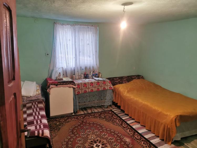 Casă individuală cu 4 camere cu Teren 7000 Mp în Argetoaia