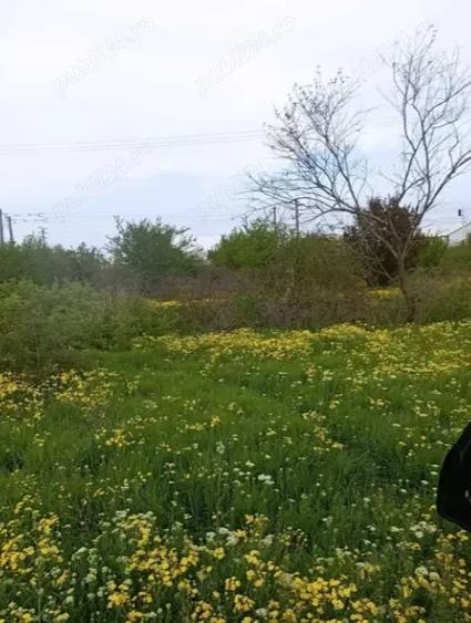Teren de 25000 mp, în Central