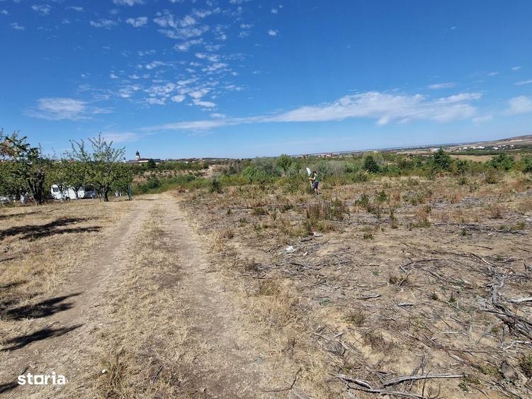 Teren de 3100 mp, în Paleu