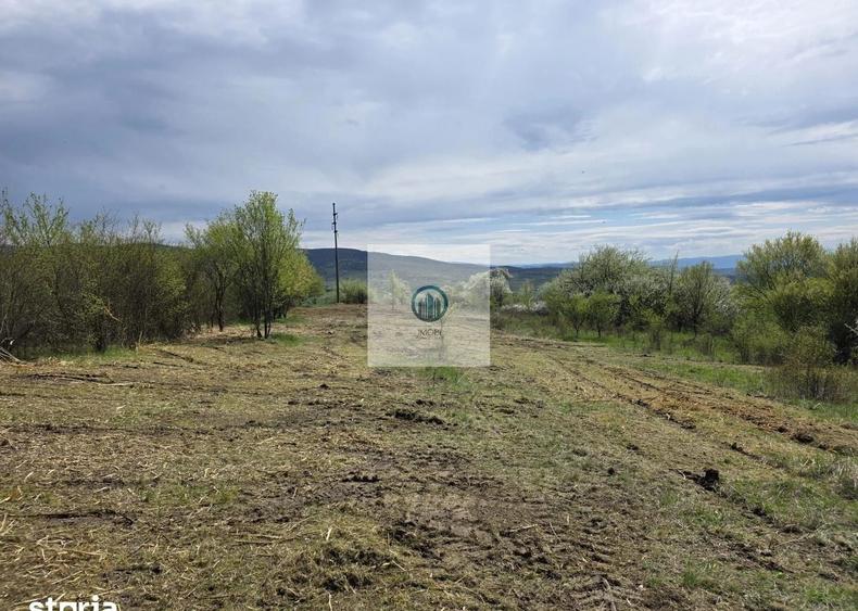Teren agricol extravilan de 6704 mp, în Hărău