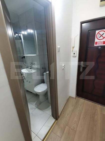 Garsoniera, 32 mp, AC, zona Minerva, Petfriendly - 3