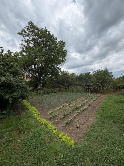 Casă cu 3 camere în Diosig