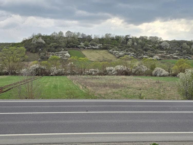 Teren de 5011 mp, în Hidiș