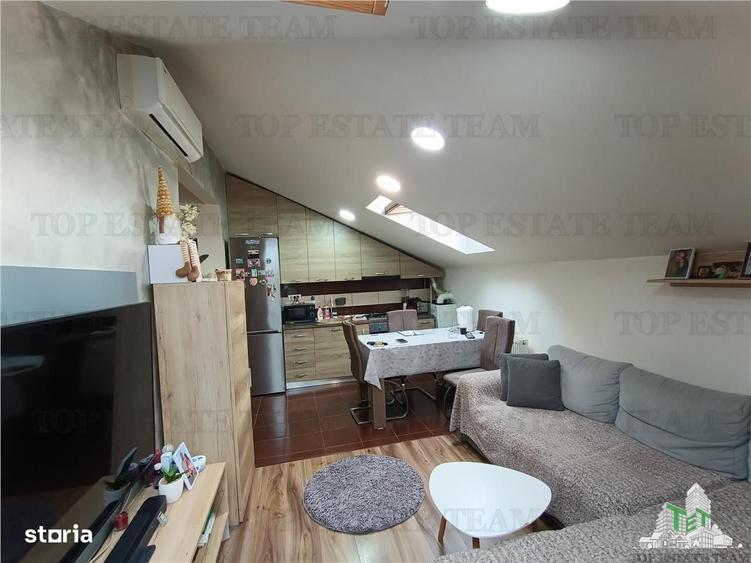 Apartament cu 2 camere în Roșu