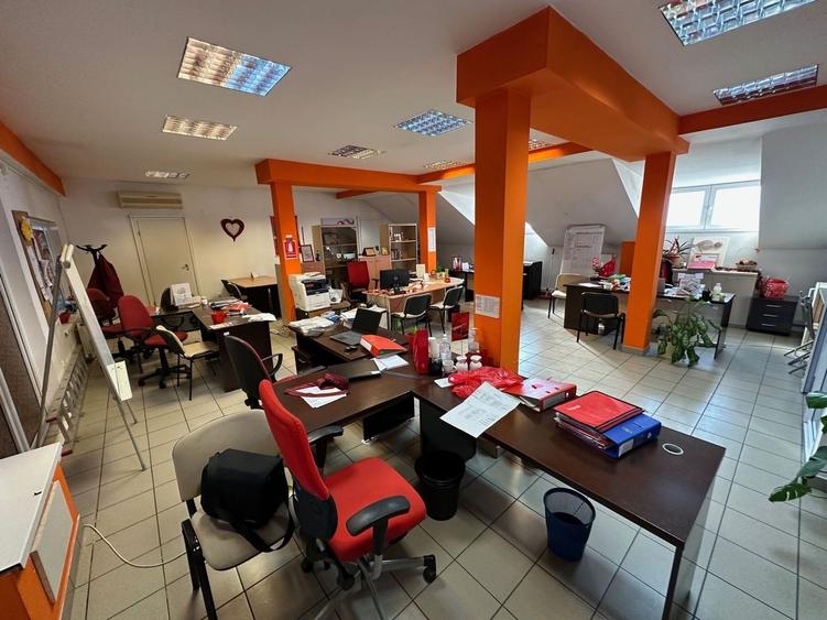 Casă individuală cu 10 camere cu Canalizare în Lipovei