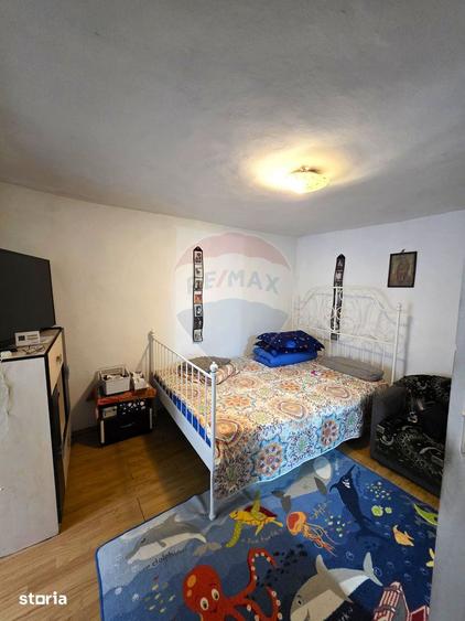 Casa / Vila cu 6 camere de vanzare in zona Mihai Viteazu - 7