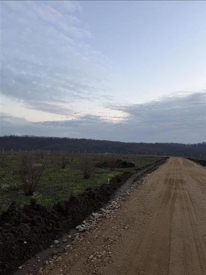 Teren Construcții intravilan de 600 mp, în Hidișelu de Sus