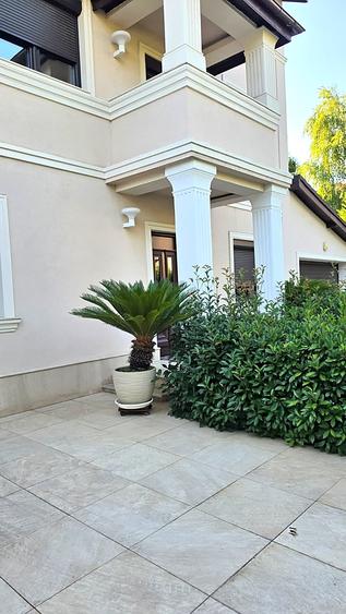 Casă cu 8 camere cu Piscina în Iancu Nicolae