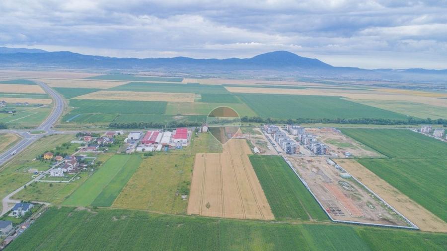Teren Construcții intravilan de 3331 mp, în Cristian