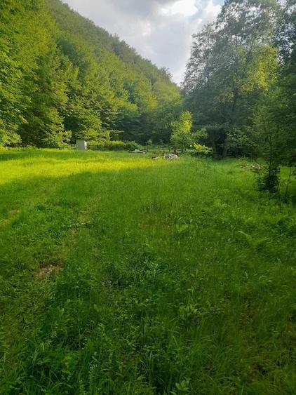 Teren de 2315 mp, în Boș