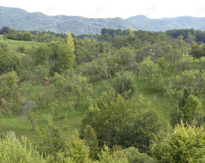 Teren de 490 mp, în Brebu