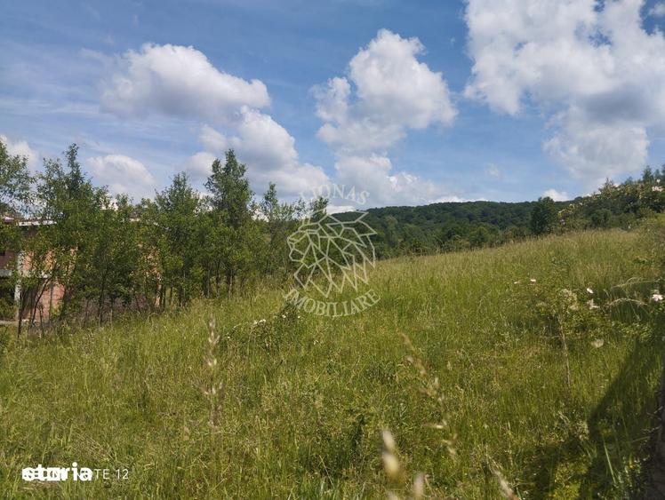 Teren de 40000 mp, în Central