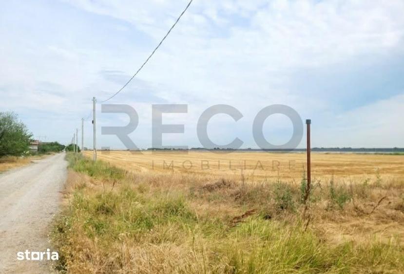 Teren de 17167 mp, în Girișu de Criș