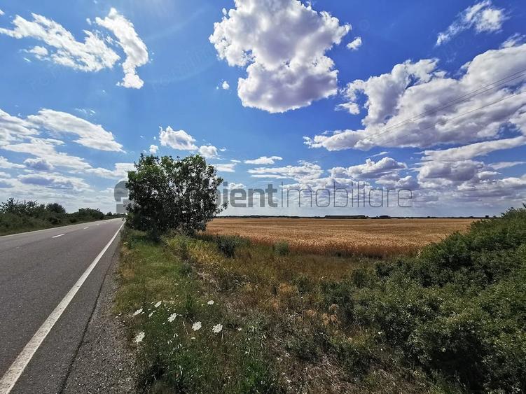 Teren de 11600 mp, în Sud