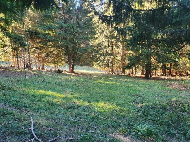 Teren Construcții intravilan de 2000 mp, în Poiana Brașov
