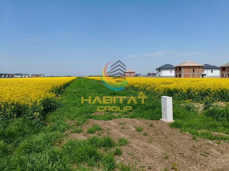 Teren Construcții intravilan de 469 mp, în Berceni