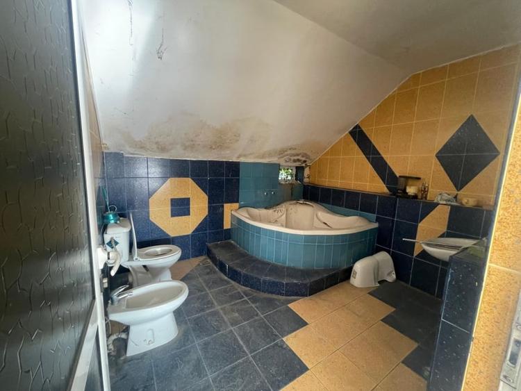 Casa individuala, 466.47 mp, zona Catargiu - 18