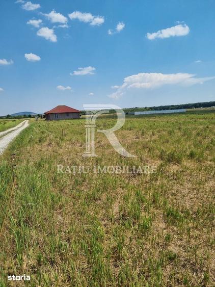 Teren intravilan | Cihei | Bihor - 2