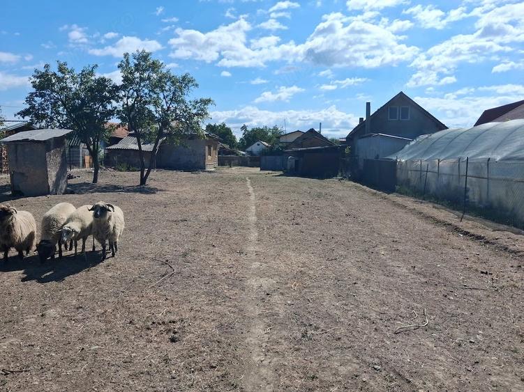 Teren de 1164 mp, în Central
