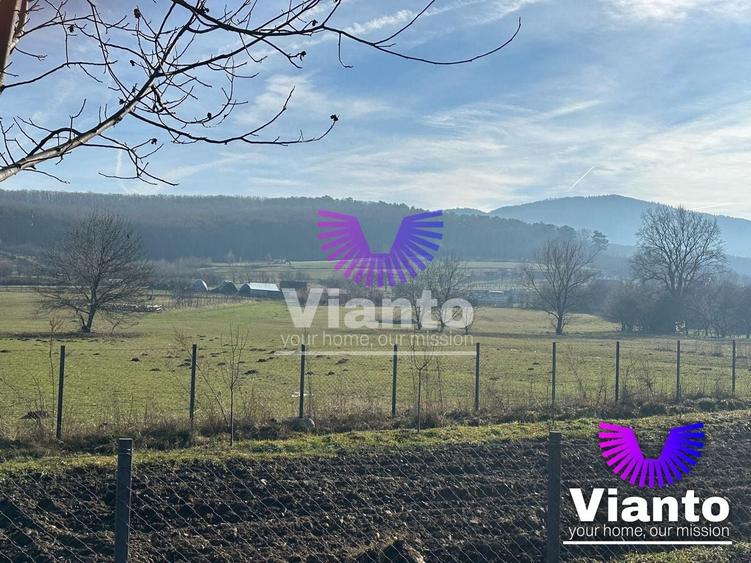 Teren Construcții intravilan de 500 mp, în Rășinari