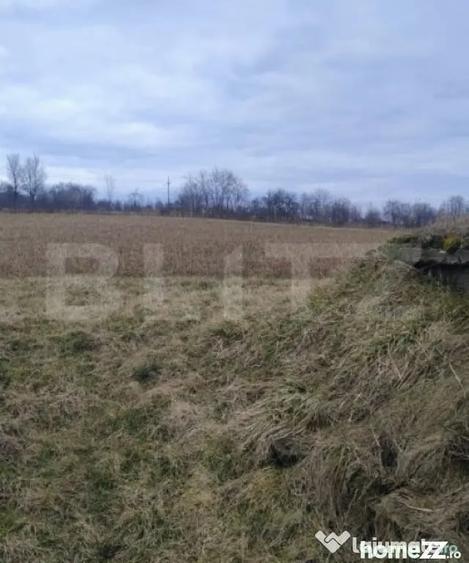 Casă cu 4 camere cu Teren 5450 Mp în Central
