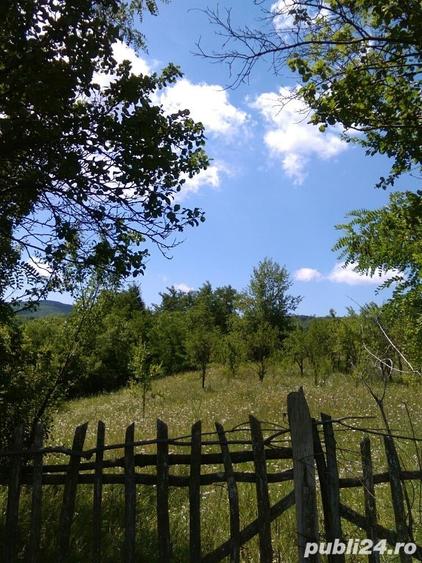 Teren de 3600 mp, în Aluniș