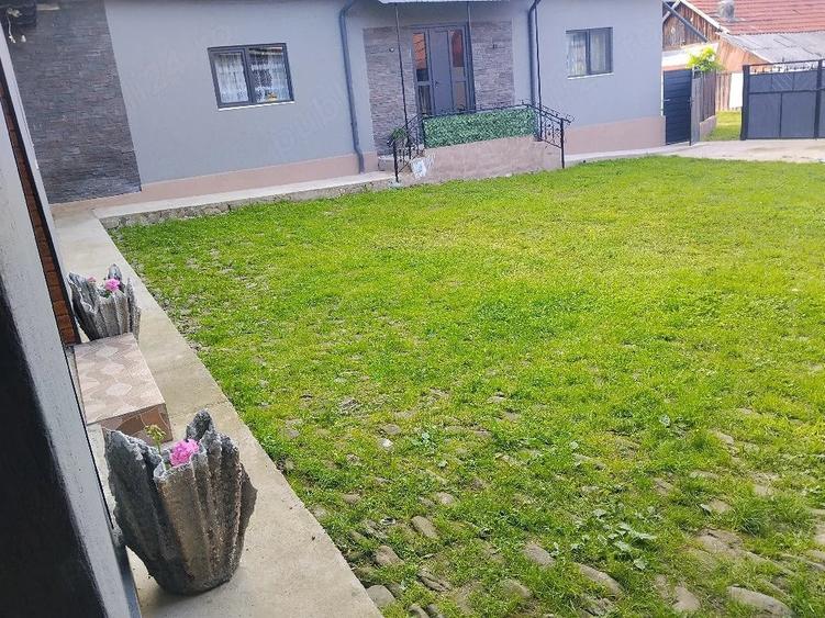 Casă cu Teren 2000 Mp în Coman
