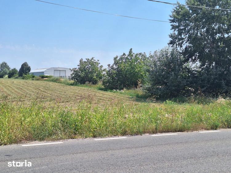 Teren de 23298 mp, în Ciorogârla
