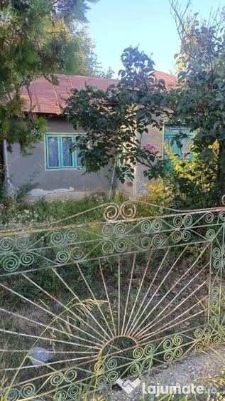 Casă cu 5 camere în Clejani