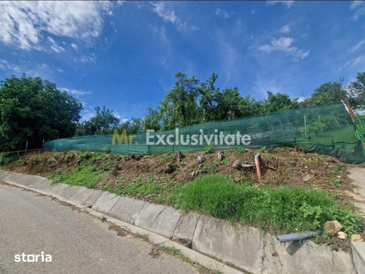 Teren de 1400 mp, în Albota