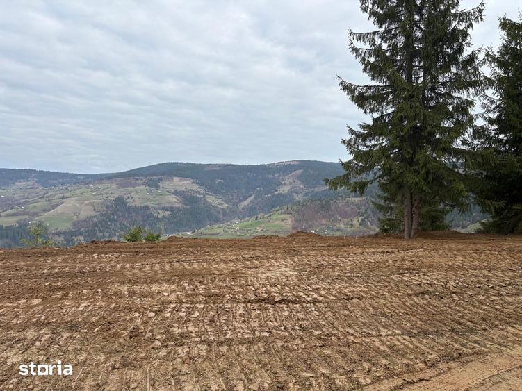 Teren de 1819 mp, în Horea