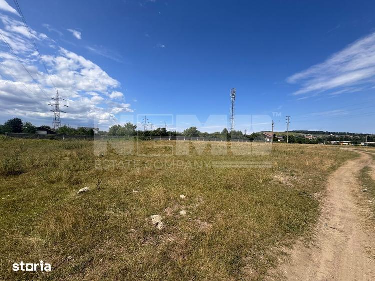 Teren Itcani | 31 Ari | Extravilan | Deschidere 11.5 MP | 93000 Euro - 4